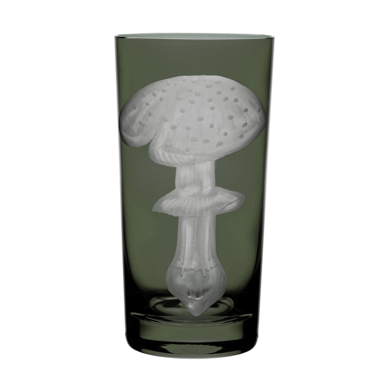 Mushrooms Fly Amanita