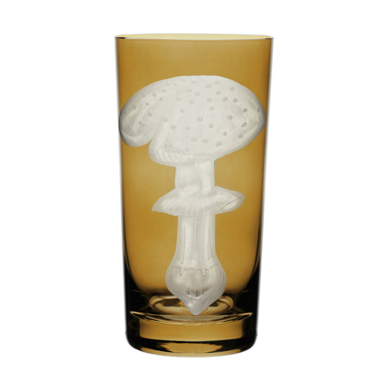 Mushrooms Fly Amanita