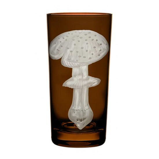 Mushrooms Fly Amanita