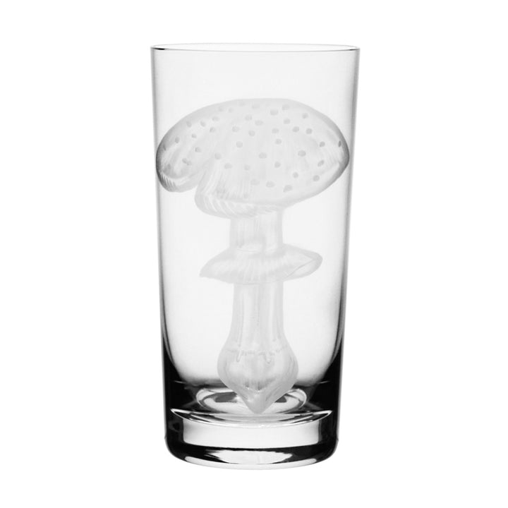 Mushrooms Fly Amanita