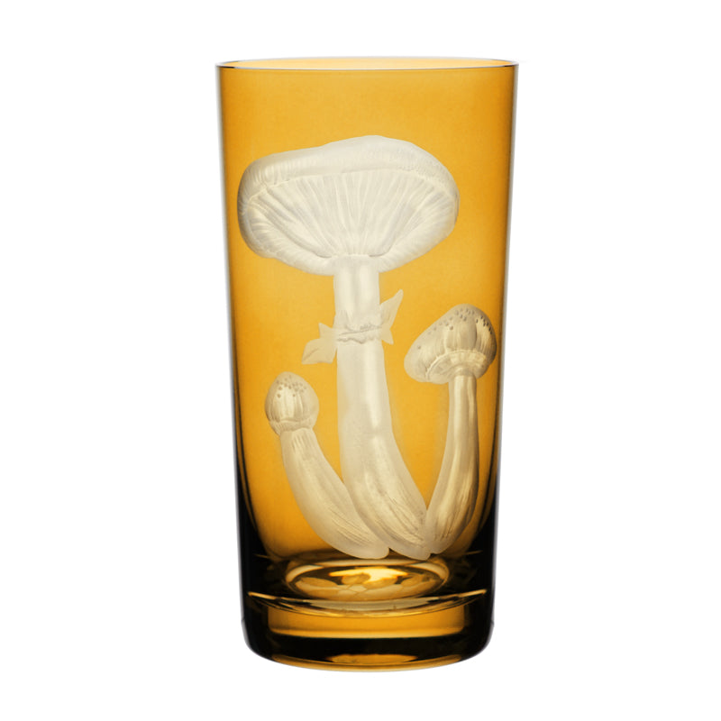 Mushrooms Honey Fungus