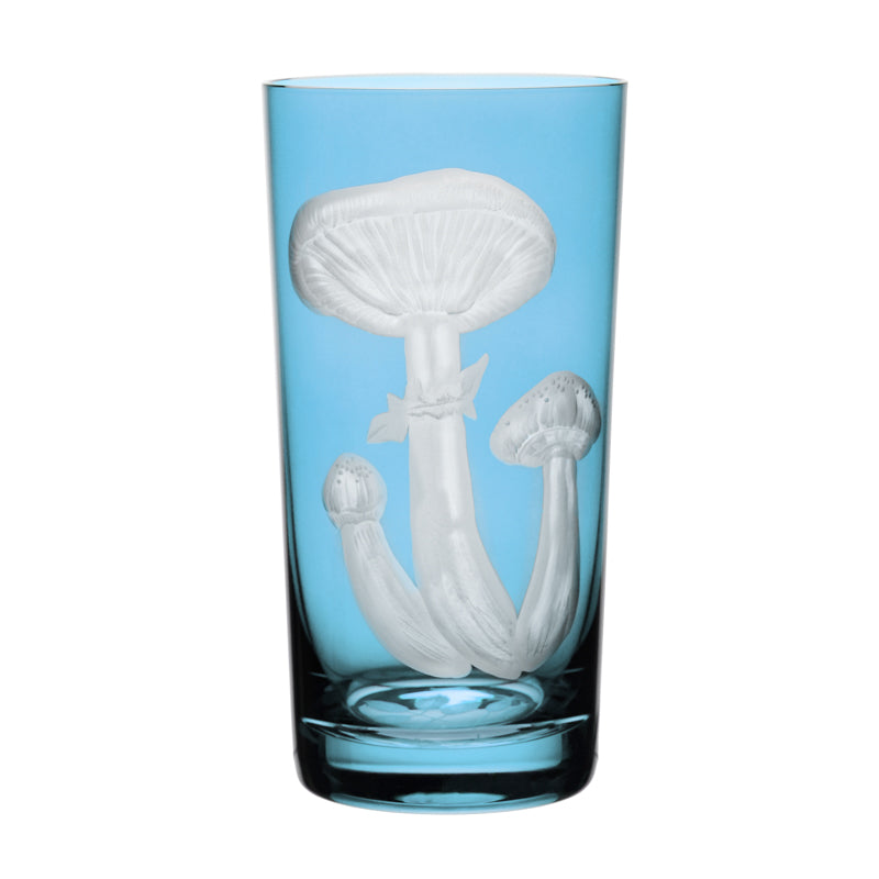 Mushrooms Honey Fungus