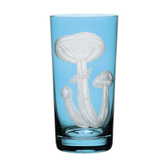 Mushrooms Honey Fungus