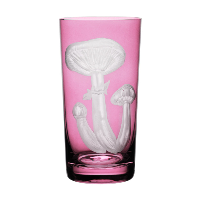 Mushrooms Honey Fungus
