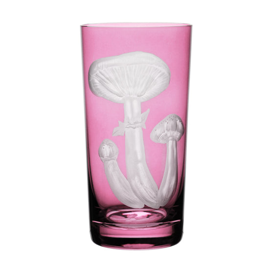 Mushrooms Honey Fungus