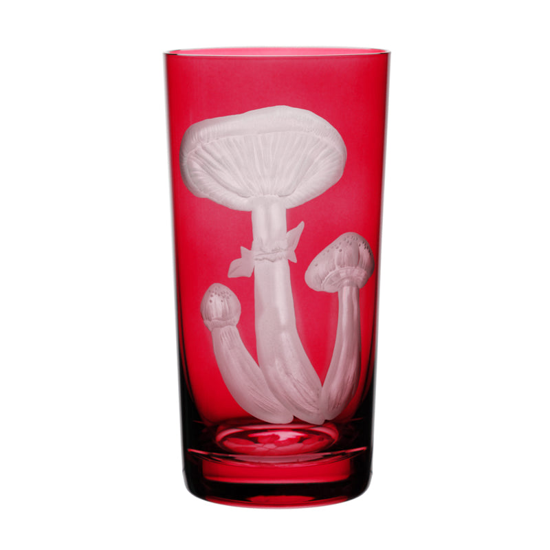 Mushrooms Honey Fungus