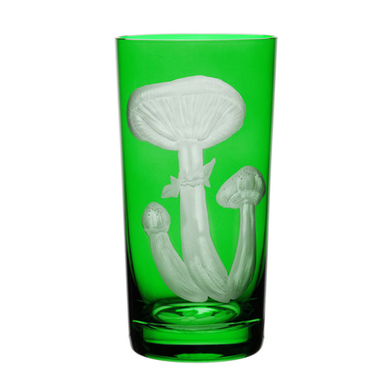 Mushrooms Honey Fungus