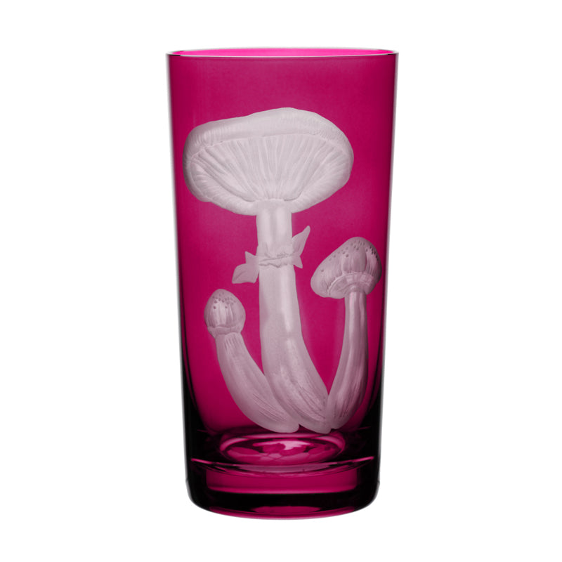 Mushrooms Honey Fungus