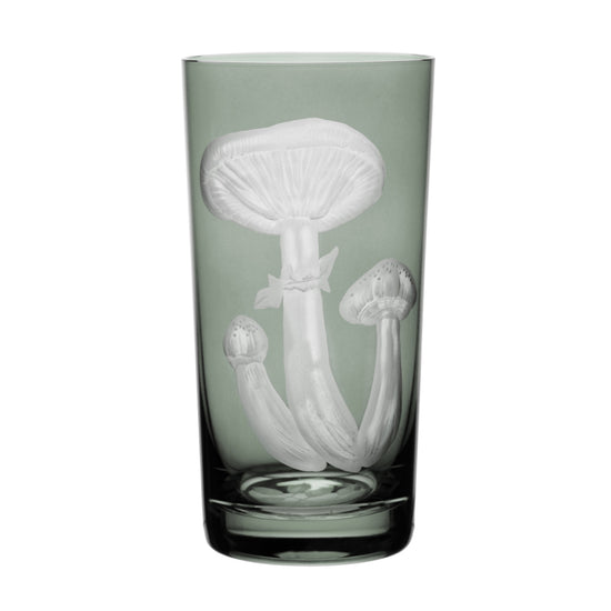 Mushrooms Honey Fungus