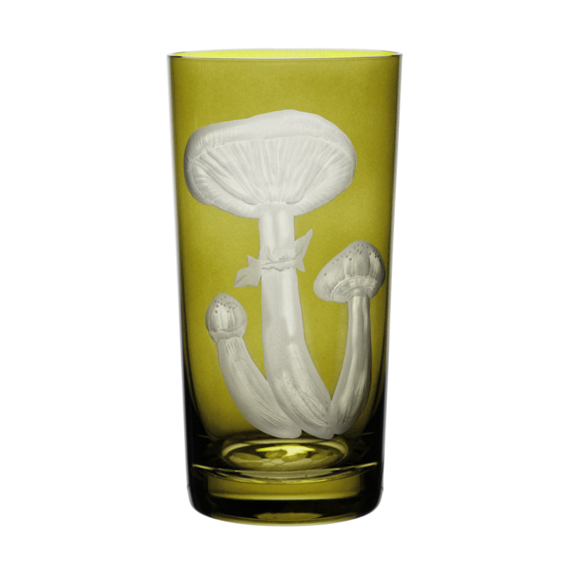 Mushrooms Honey Fungus