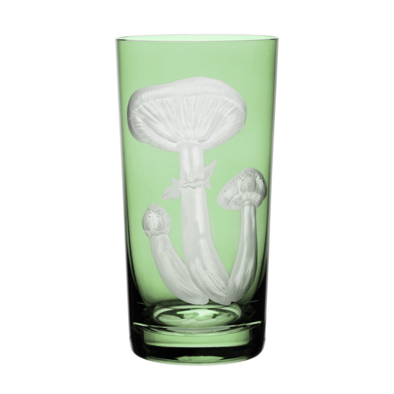 Mushrooms Honey Fungus