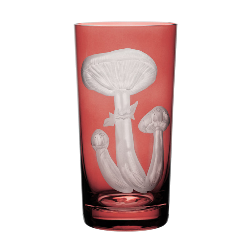 Mushrooms Honey Fungus