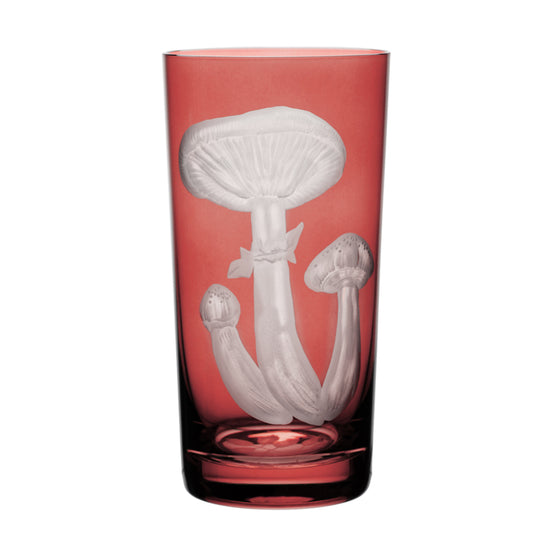 Mushrooms Honey Fungus