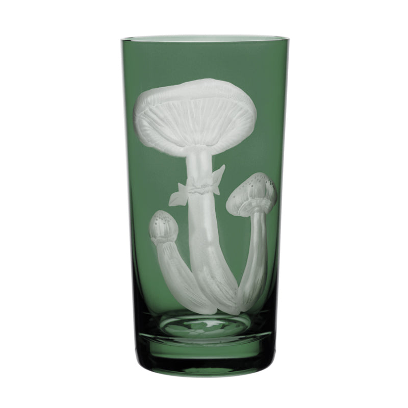 Mushrooms Honey Fungus