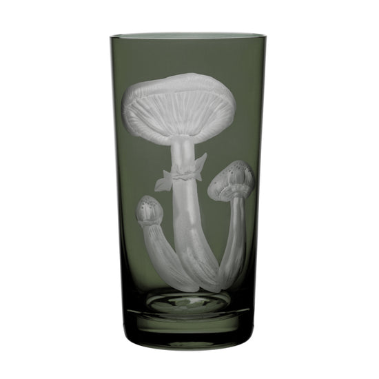 Mushrooms Honey Fungus