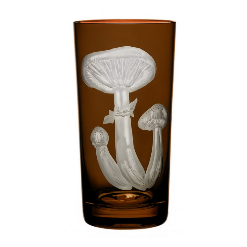 Mushrooms Honey Fungus