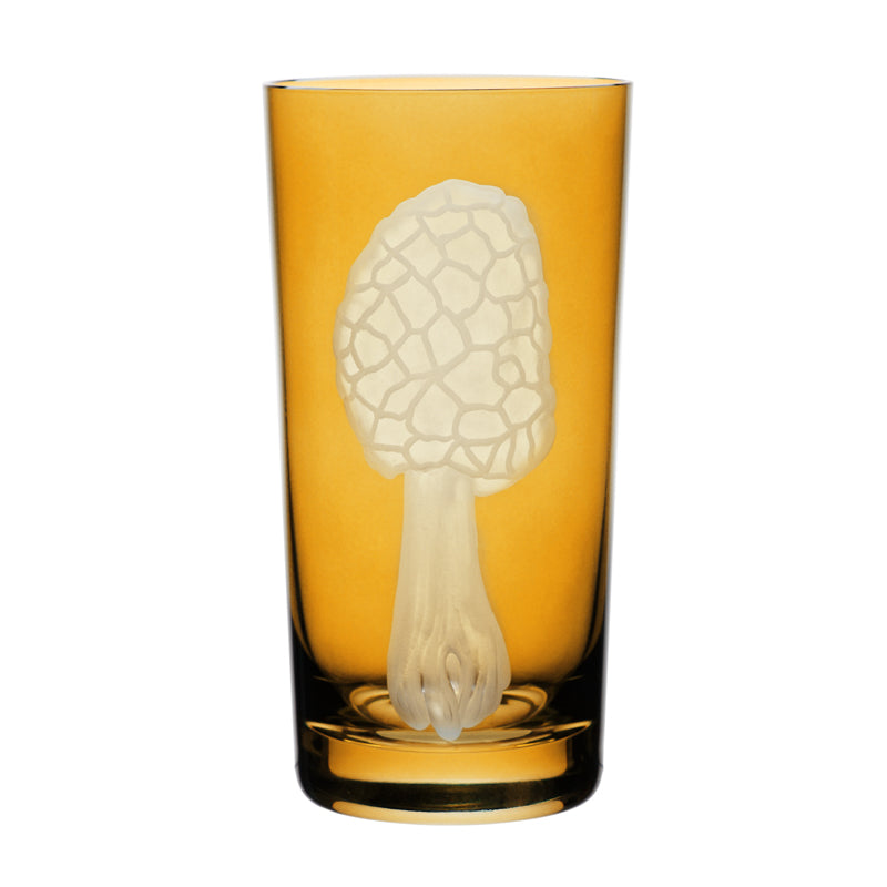 Mushrooms Morel