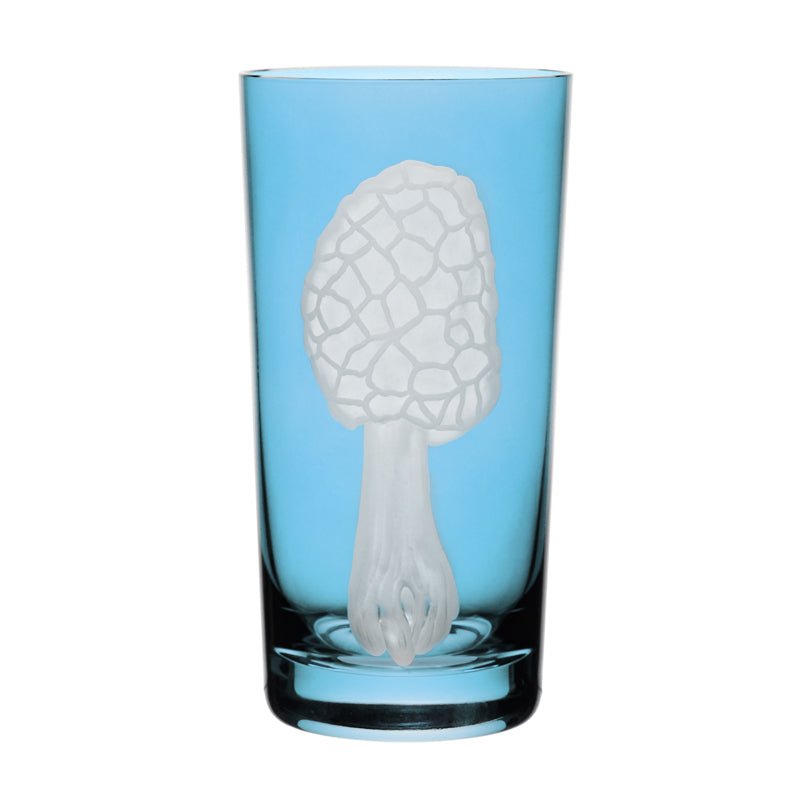 Mushrooms Morel