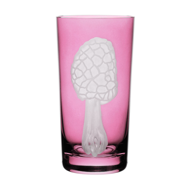 Mushrooms Morel