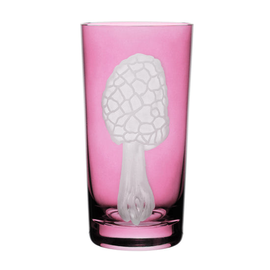 Mushrooms Morel