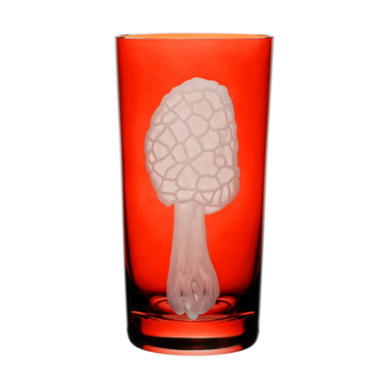 Mushrooms Morel