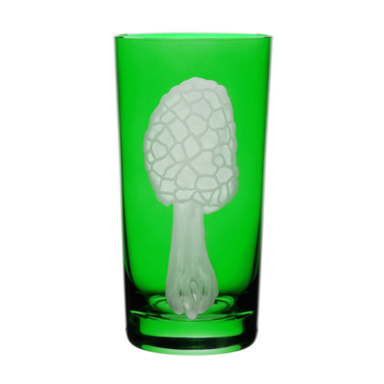 Mushrooms Morel