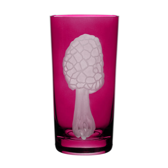 Mushrooms Morel