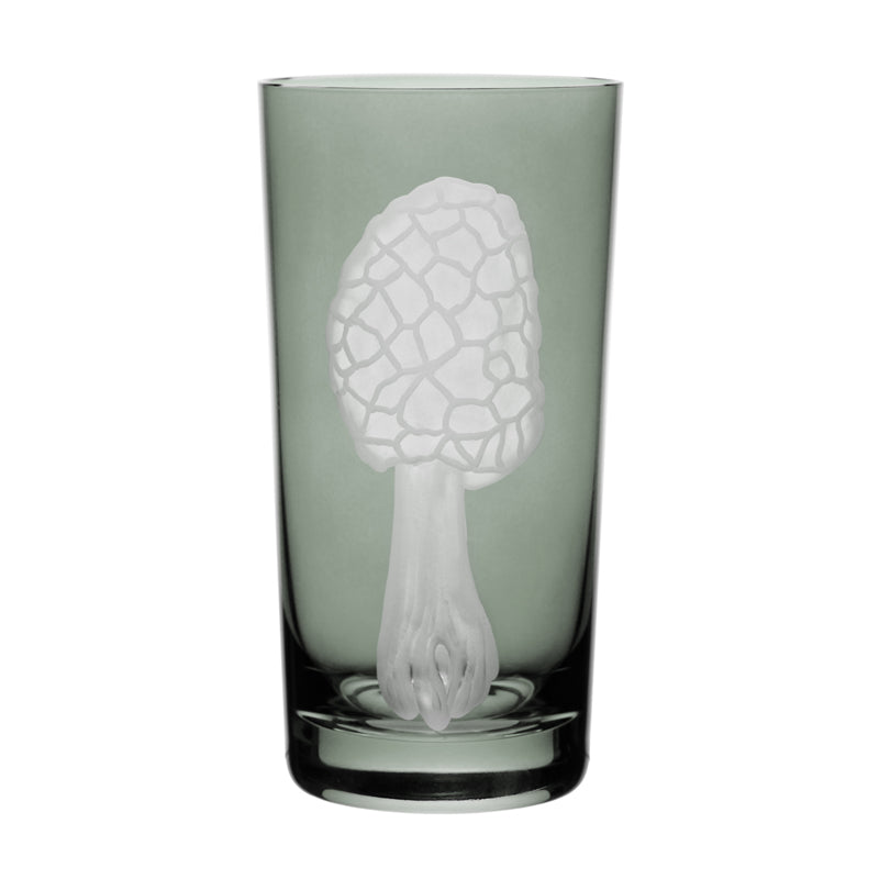 Mushrooms Morel