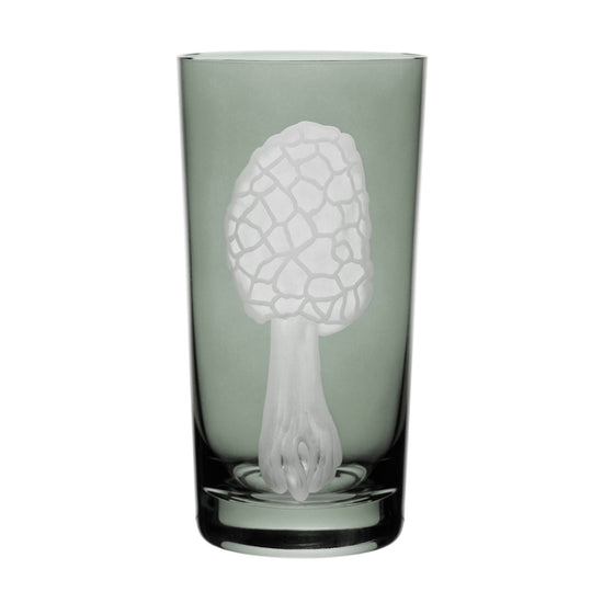 Mushrooms Morel