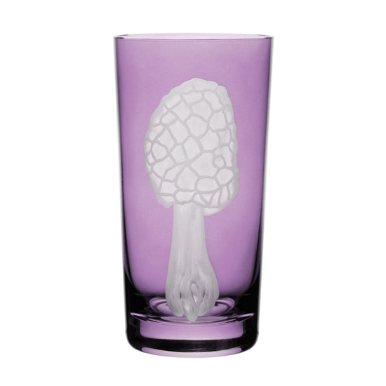 Mushrooms Morel