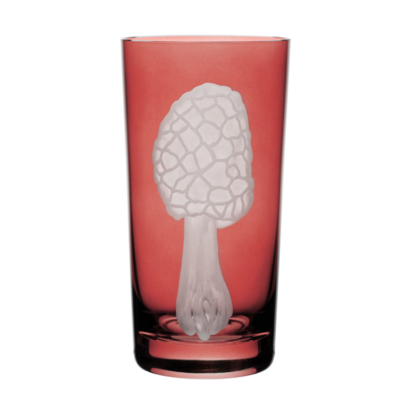 Mushrooms Morel