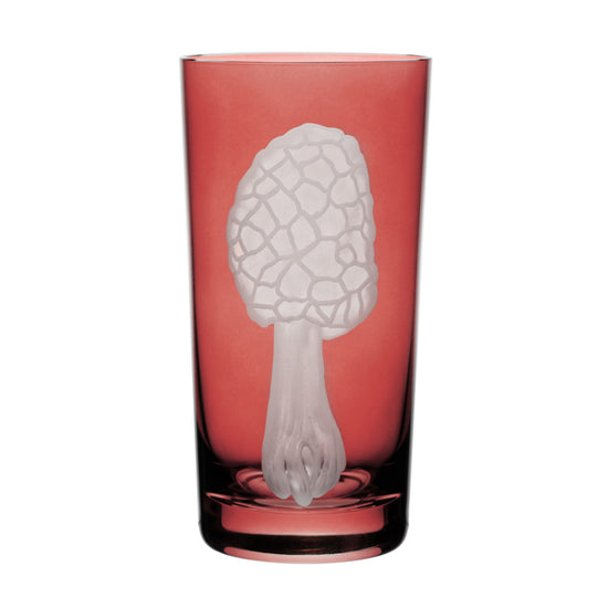 Mushrooms Morel