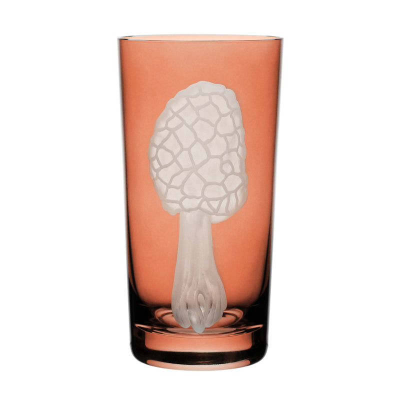 Mushrooms Morel