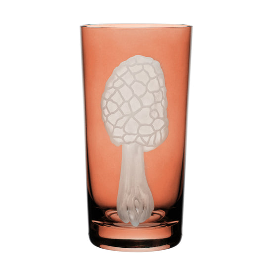 Mushrooms Morel