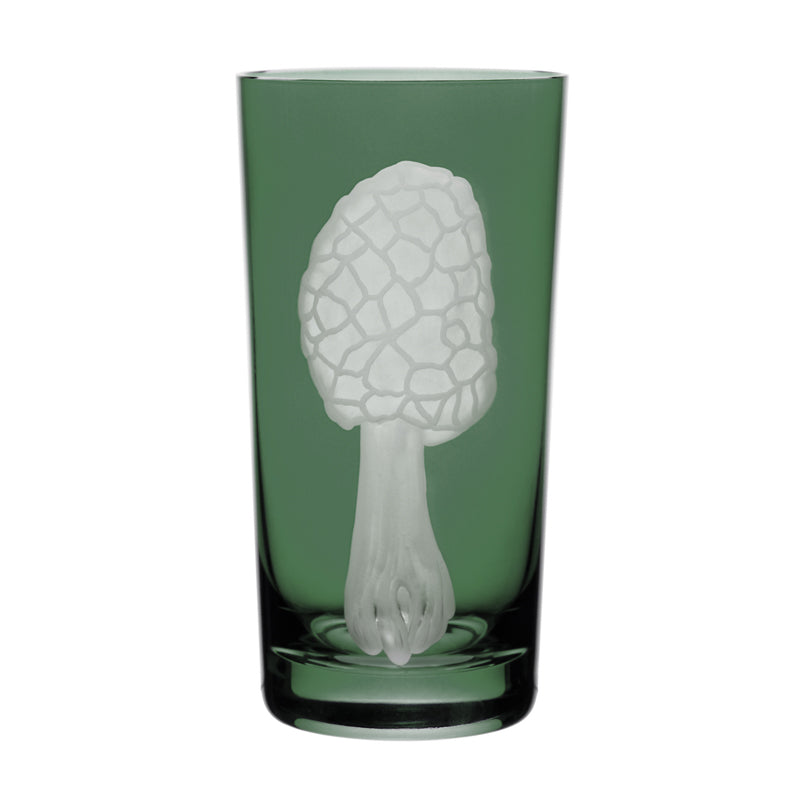 Mushrooms Morel