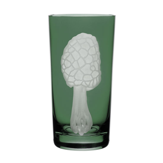 Mushrooms Morel
