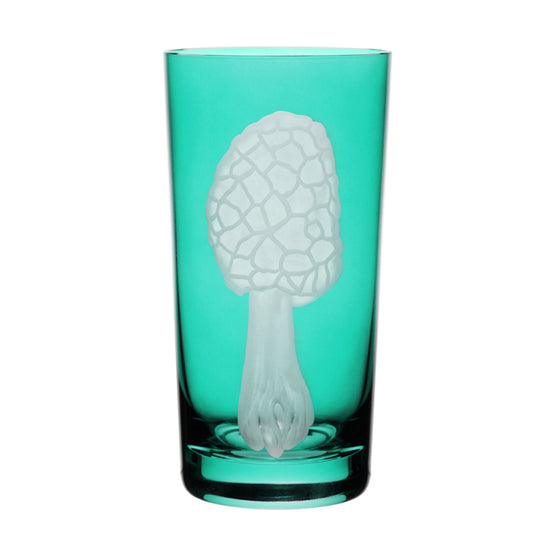Mushrooms Morel