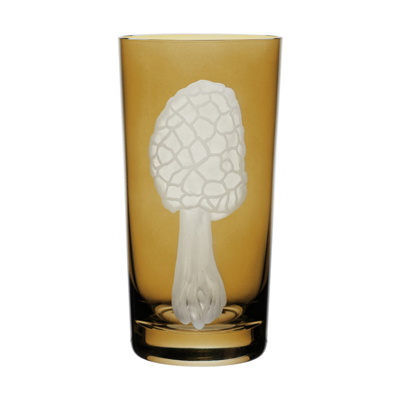 Mushrooms Morel