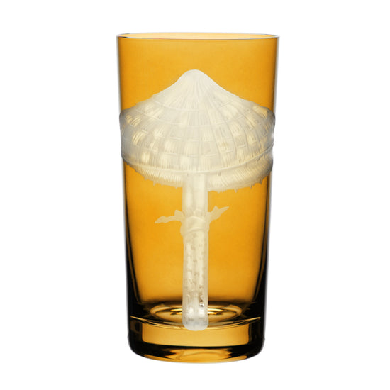 Mushrooms Parasol