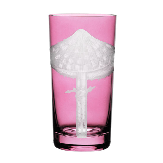 Mushrooms Parasol