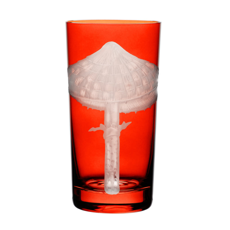 Mushrooms Parasol