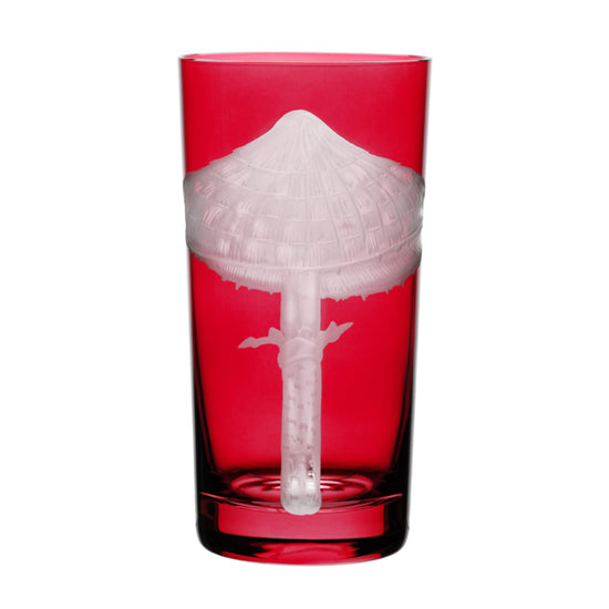 Mushrooms Parasol
