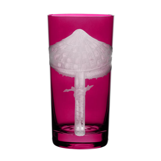 Mushrooms Parasol