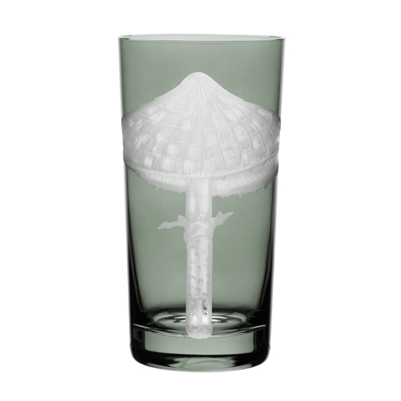 Mushrooms Parasol