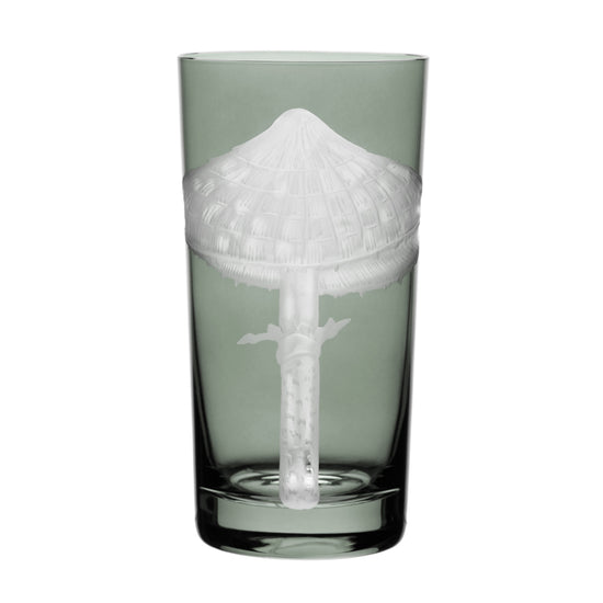 Mushrooms Parasol
