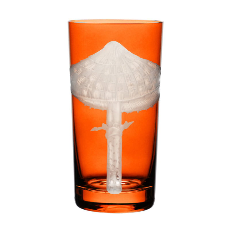 Mushrooms Parasol