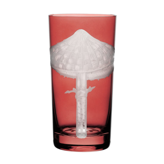 Mushrooms Parasol