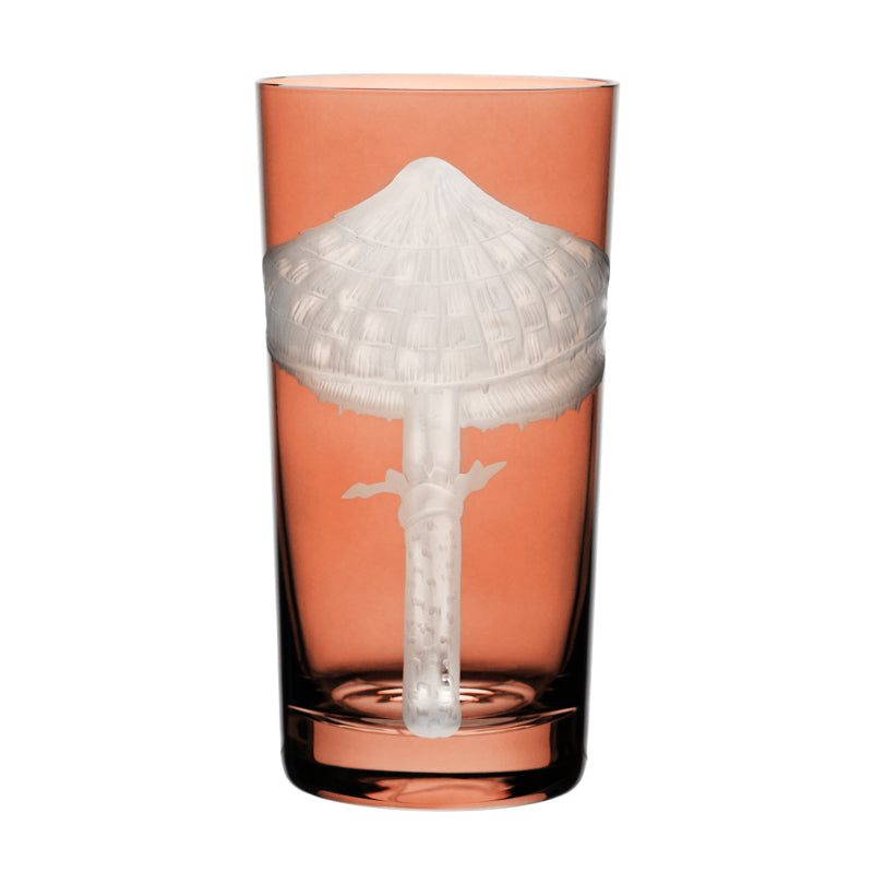 Mushrooms Parasol