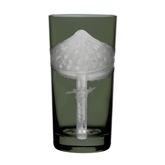 Mushrooms Parasol
