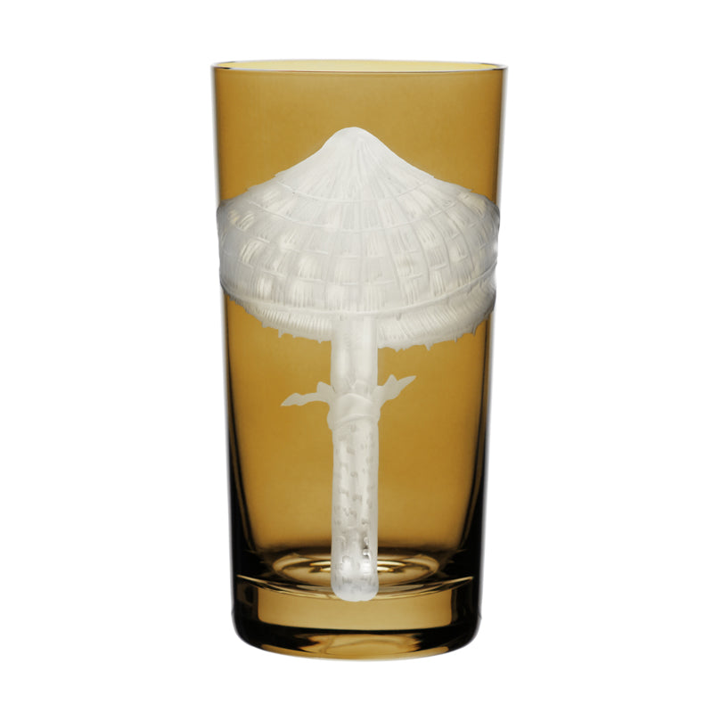 Mushrooms Parasol